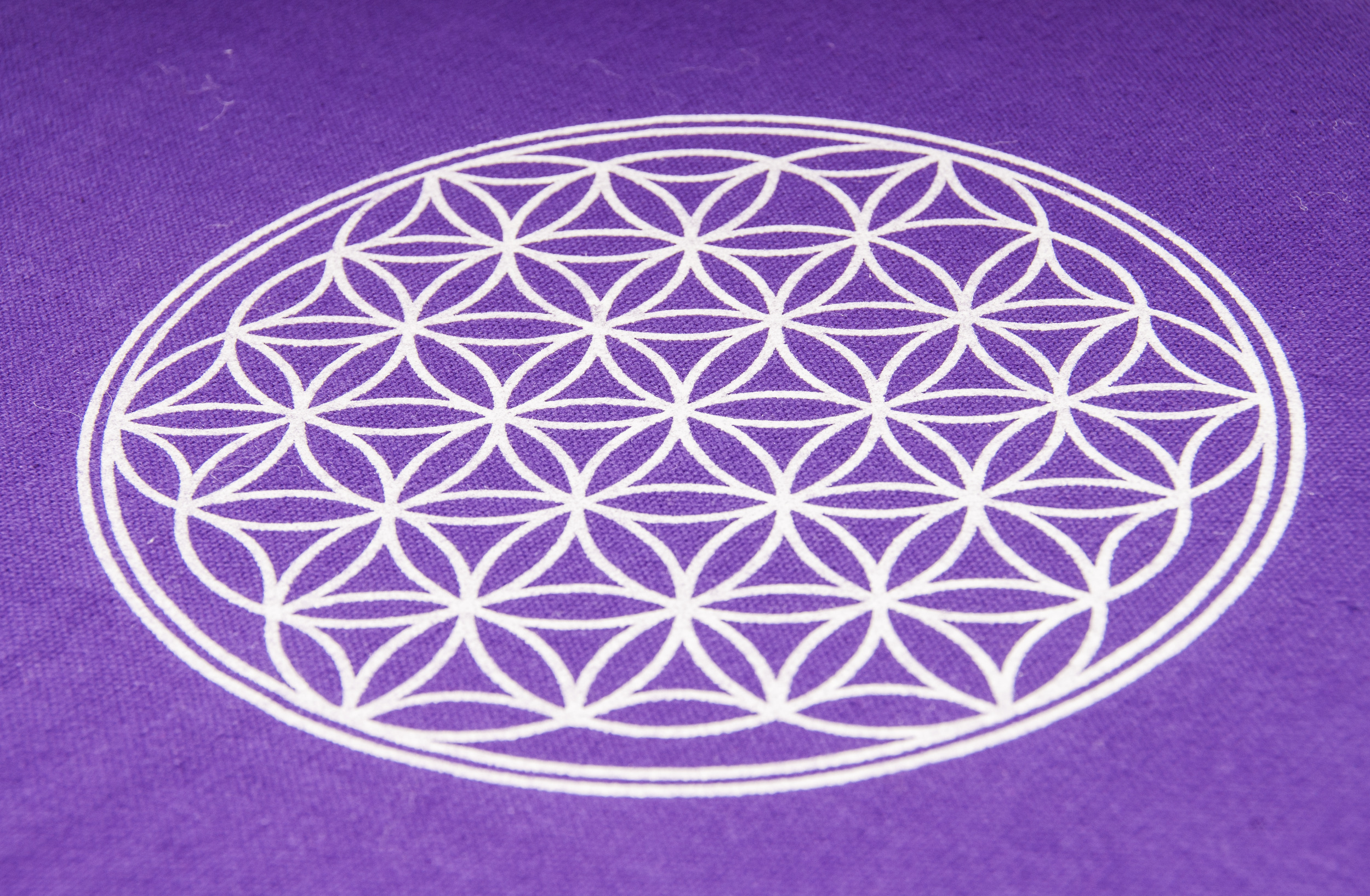 Berk Akupressurmatte Akupunktur 78x45cm Violett Qualitätsprodukt