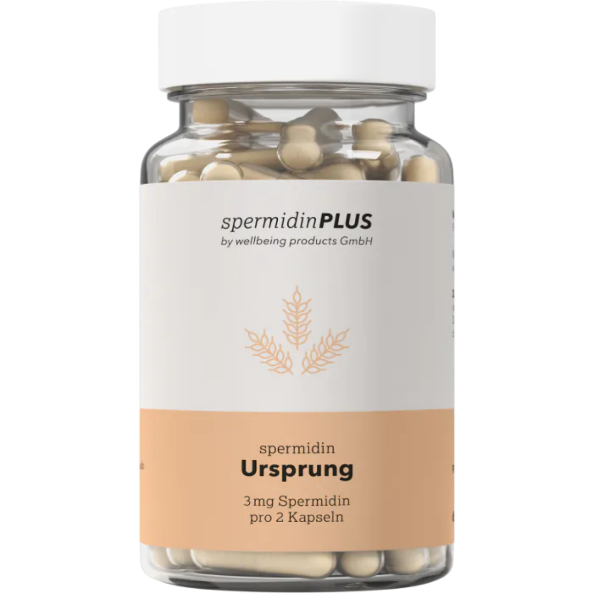 Spermidin Ursprung 3 mg Spermidin 60 Kapseln