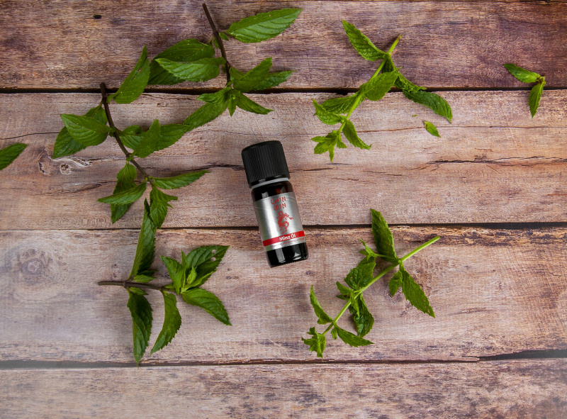 Chin Min Minz Öl 10 ml 